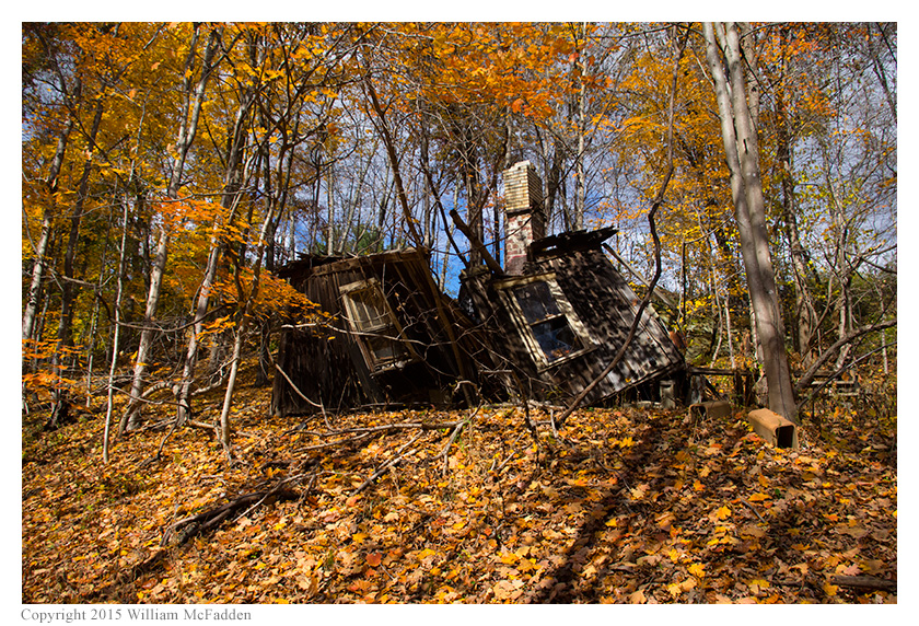 fallen leaf cabin