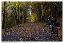 Fall along the Hockhocking-Adena Bikeway