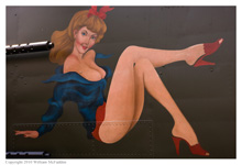 B-25J Mitchell 'Show Me!' at Grimes Field, Urbana, Ohio on April 15, 2010