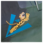 P-40 Warhawk at the Vectren Dayton Airshow on June 19, 2016