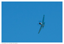 P-40 Warhawk at Vectren Dayton Airshow on June 19, 2016